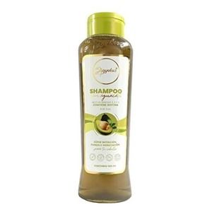 Anyeluz | Shampoo con Aguacate | Super Nutrición con Biotina y Omega 3 -6 -9